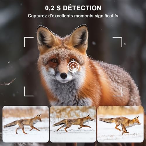 HAZA Wildkamera 4K HD Wildtierkamera mit 32G Sd Karte mit Bewegungsmelder nachtsichtkamera Outdoor...