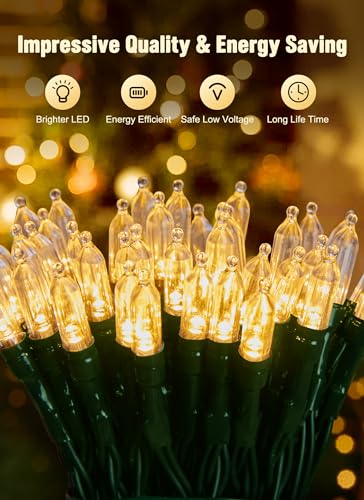 Image of Brightown Battery Operated Christmas String Lights with Timer 2 Pack