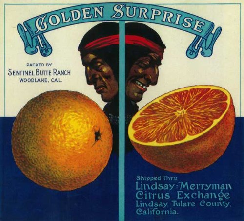 citrusさま専用特典 Amazon.com: A SLICE IN TIME Lindsay, Tulare County Golden Surprise