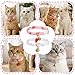 Sibba 2Pcs Cat Collar Breakaway, Cotton Cats Collars with Bells, Pink Strawberries and White Heart Shaped Pendant for Girl Boy Kittens, Adjustable 7-12 Inch