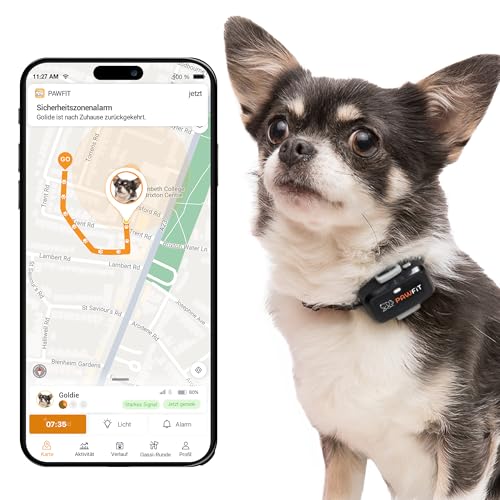 Pawfit Lite GPS-Tracker mit 4G für kleine Hunde | Tracking in Echtzeit | Aktivitätsüberwachung |Standortverlauf | Unbegrenzte Reichweite | Weiß Pawfit Lite GPS-Tracker mit 4G für kleine Hunde | Tracking in Echtzeit | Aktivitätsüberwachung |Standortverlauf | Unbegrenzte Reichweite | Weiß