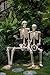Crazy Bonez Pose-N-Stay Halloween Skeleton, 6 FT – Life-Size, Realistic, Fully Poseable Indoor & Outdoor Decoration, Durable Weather-Resistant Spooky Prop for Yard, Porch, Haunted House