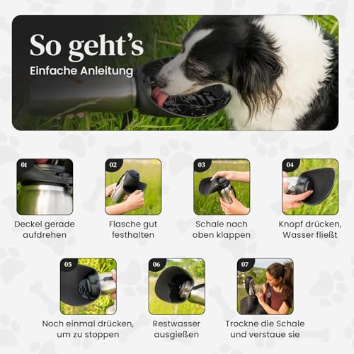 Sogoro Hundetrinkflasche für Unterwegs - 700ml - auslaufsicher & robust aus Edelstahl - Tragbare Haustier Wasserflasche, Hundeflasche to go, Hundetrinkflasche für Unterwegs für alle Hunde
