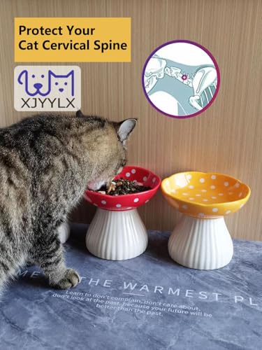 27% Off Elevated Mushroom Ceramic Cat Bowls – Raised Design - Image 4