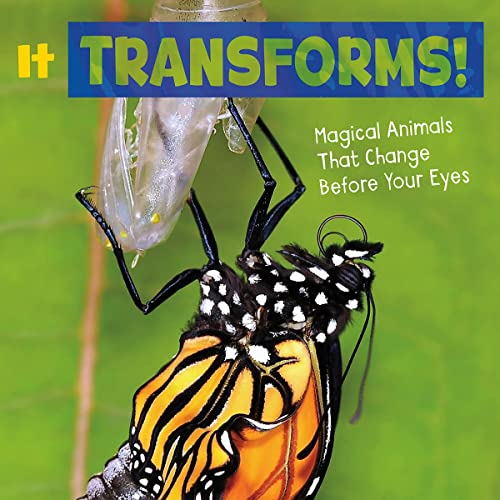 It Transforms! by Nikki Potts episode artwork