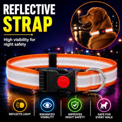 Image of Reflective Dog Collar, Quick Release Buckle, Adjustable Size | for 14-23 Kilograms Dogs (M, Orange)