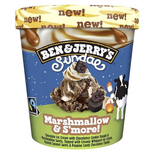 Ben & Jerrys Sundae Marshmallow & Smore Ice Cream Tub Dessert 427ml