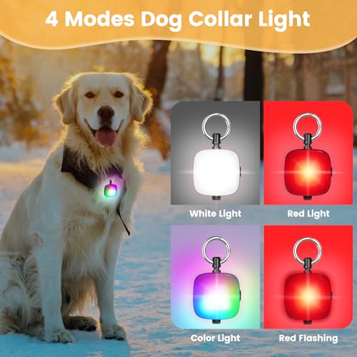 Dog Collar Light, 2 Packs 4 Modes IP68 Waterproof Dog Lights for Night Walking, Climbing, Camping, Cycling, Pet Collar LED for Nighttime Clip on, High Capacity Rechargeable Pet Leash Accessories