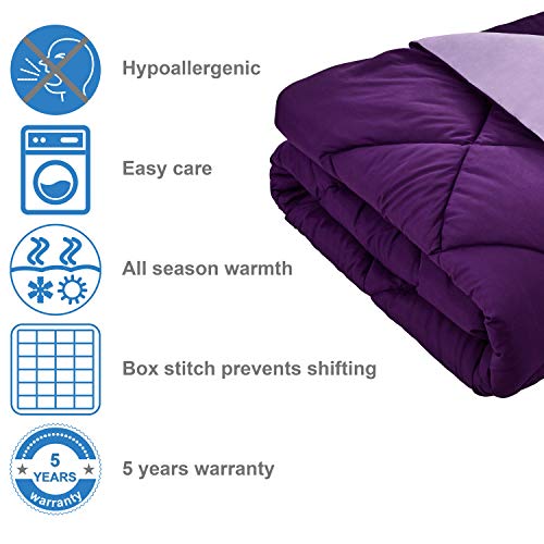 Seward Park Solid Color Reversible Comforter, Hypoallergenic Plush Microfiber Fill, Duvet Insert or Stand-Alone Spring or Summer Comforter for Dorm, Lightweight, Twin Extra Long, Plum/Purple