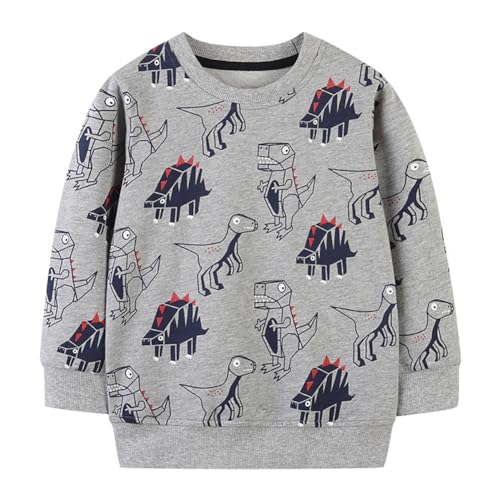 Boys Sweatshirts Long Sleeve Sweatshirts T-shirts Crew Neck Cotton Casual Sweatshirts Cartoon Tops for Boys-134
