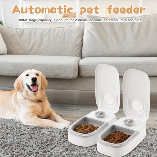 Mineup Futterautomat Katze, 700ML Futterautomat für Katzen, 2 Mahlzeiten Katzenfutter Automat mit 48 Stunden Timer, Automatischer Futterspender für Katze und Hund zum Nassfutter und Trockenfutter