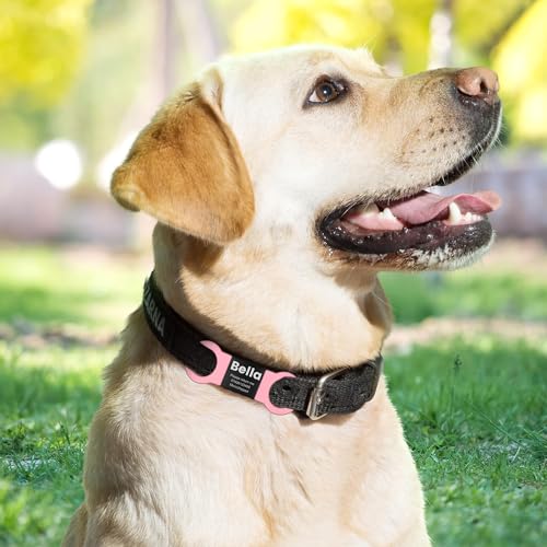 YEHANTI Hundemarke mit Gravur - Leise Silikon Hundemarke Personalisiert mit Name, Telefonnummer und Adresse - Personalisierte Anhänger Marke für Hunde, Katzen und Welpen (Schwarz-Schwarz, M)