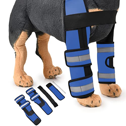 Comparison of Best Elbow Support For Dogs [Experts 2023 Reviews]