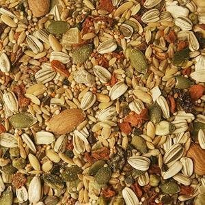 PET SUPPLIES ONLINE Volkman Eclectus Diet 4lb