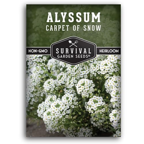 White Alyssum Seeds for Planting - Sweet Carpet of Snow Alyssum Flowers - Fragrant Perennial Blooms, Ground Cover - Heirloom Non-GMO - Survival Garden Seeds (1 Pack)