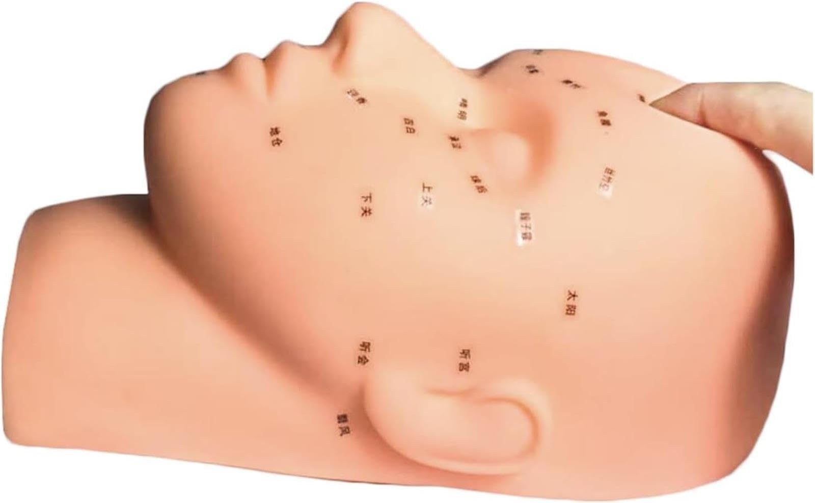 Cabeza de maniquí de entrenamiento de masaje facial esteticista