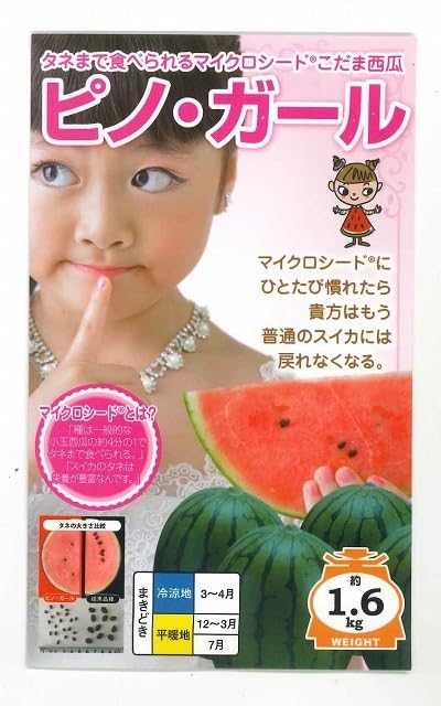 Amazon.co.jp: ＜野菜の種＞5粒 ピノガール 小玉スイカ マイクロ
