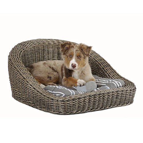 Preisvergleich Produktbild Hundekorb Rattan in grau, mit Kisseneinlage
