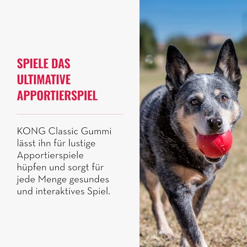 KONG Ball mit Loch - Hundespielzeug zum Apportieren - Klassischer Gummiball für Training und Spiel - Für Große/Mittelgroße Hunde - Rot
