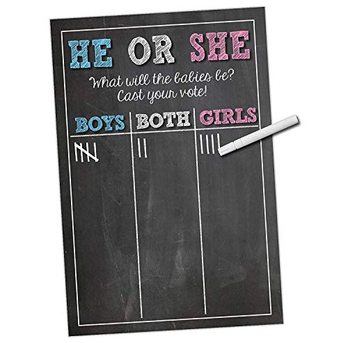 Twins Gender Reveal Party Supplies - Cast Your Vote Poster Sign - 11 x 17 Matte Cardstock - Party Game for Twins Baby Reveal - Design by Katie Doodle