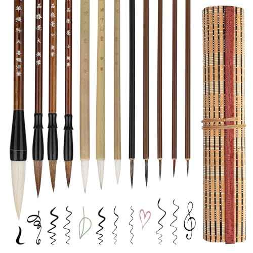 EEEKit Pinceaux de Calligraphie Chinoise, Stylo Calligraphie, Pinceau Kanji Sumi Japonais de Taille Mixte pour éTudiant Débutant, 12 Pièces