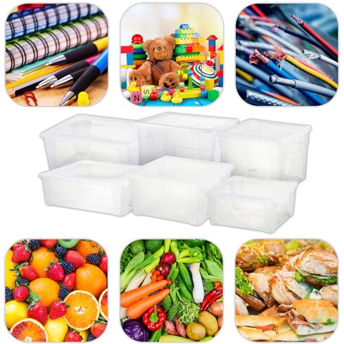 Stefanplast Scatola Multiuso Visualbox XXL 59x39x17 Cm - 4