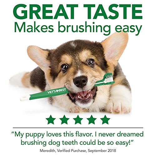 Vet&rsquo;s Best Enzymatic Dog Toothpaste | Teeth Cleaning and Fresh Breath Dental Care Gel | Vet Formulated | 3.5 Ounces
