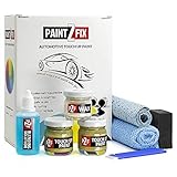 Touch Up Paint for KIA - Alien II AE3 | Acid Green | Scratch and Chip Repair Kit - 25ml Small Size