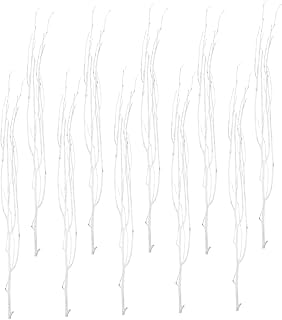 Frcolor 12個白樺枝 インテリア装飾 ドライツイッグ 花瓶用枝 クラフト用 花