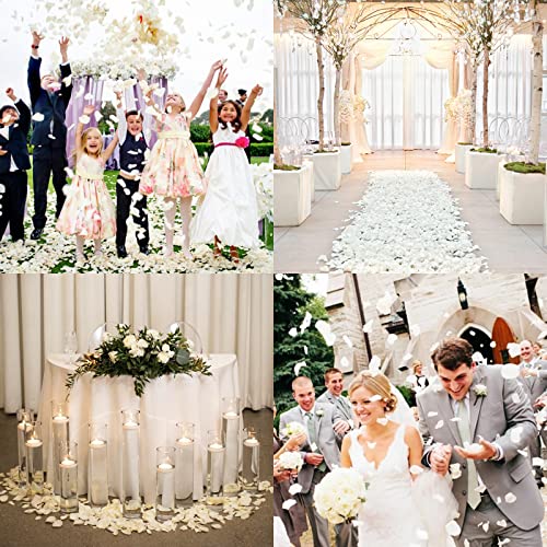 Ouddy Decor HD-208-2 5000 Pcs Rose Petals Artificial Flower Petals thumb #5