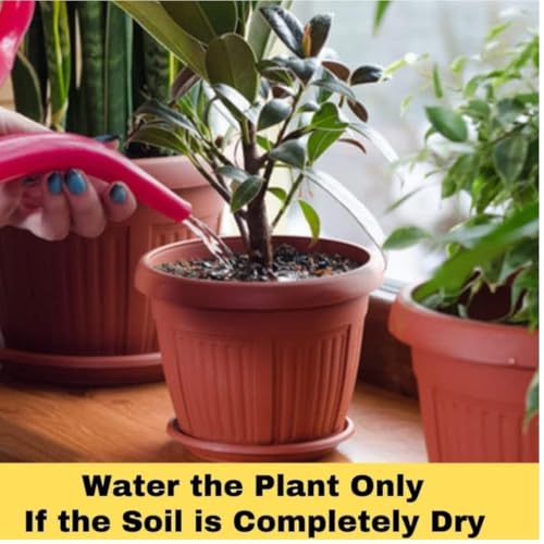 Image of Home Garden Potting Soil Mix for Plant- 5 Kg. Ready to Use All Purpose Home Garden Balcony Gardening Potting Soil Mix