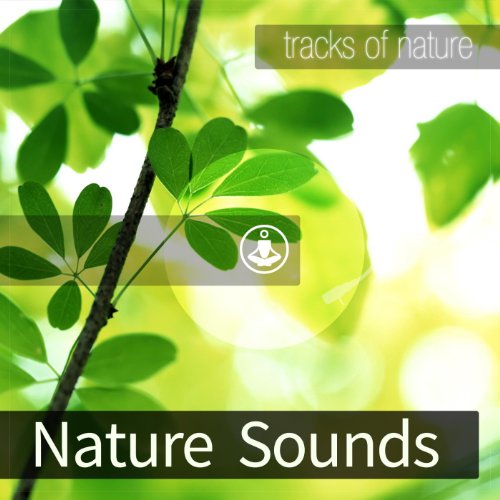 Play Nature Sounds by Tracks of Nature on Amazon Music