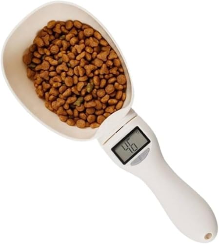 KryZaroybgpfW^vʃXv[XP[ O\ ELp dqXP[@\t LCDfBXvC y ybgt[hvʊ ybgpi