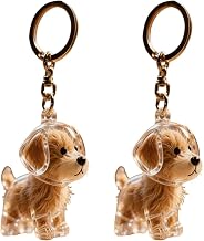 2 Piezas Llavero De Coleccionista De Pelo De Perro, Caja De Almacenamiento Conmemorativa De Pelo De Mascotas, Llavero Transparente Lindo, Caja De Recuerdo De Pelo De Mascotas Para Perro