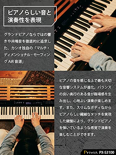 PX-S3100