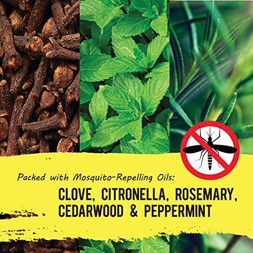 Yaya Organics Mosquito Repellent | All Natural Bug Spray Made with Essential Oils Family Friendly Deetfree | 4 Ounce Spray 2pack  Cucciolini Doodles Yaya organics mosquito repellent | all natural bug spray made with essential oils family friendly deet free | 4 ounce spray 2 pack   cucciolini doodles