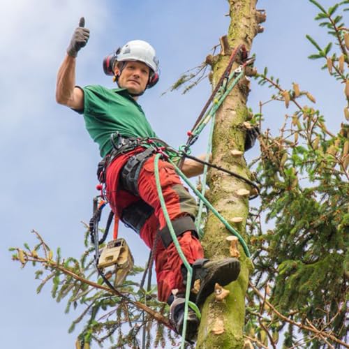 Image of Tree Climbing Gear, Tree Climbing Spikes, Tree Climbing Gear with Adjustable Climbing Straps and Steel Core Flip Line, Rock Climbing Kit with Triple Lock Lanyard Adjuster