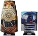 ICUP Star Wars Droids Bottle and Can (2 Pack), Clear