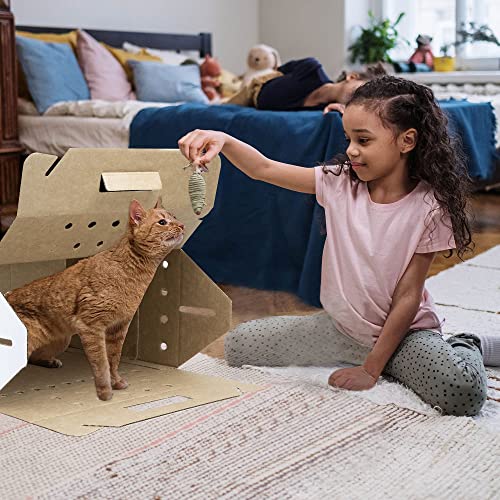Disposable Cardboard Pet Carrier 12/Case #TOP1