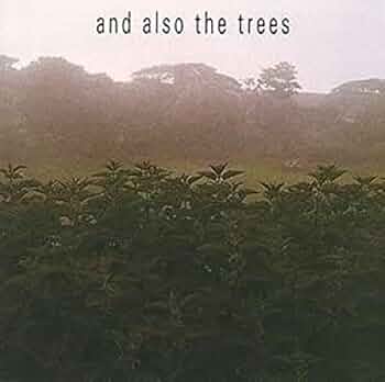 And Also the Trees: Amazon.de: Musik-CDs & Vinyl