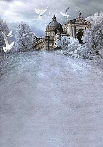 GzHQ 5X7FT Vinile Natale Inverno Sfondo Fantasia