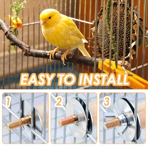 Image of Bird Perch Platform Stand Wooden Parrot Perch Corner 6.7 Inches Fan Shape Playground Cage Accessories Parrot Stand Flat Perches for Bird Cages Corner Shelf for Birds Parrots Hamster Gerbil (Pack of 2)
