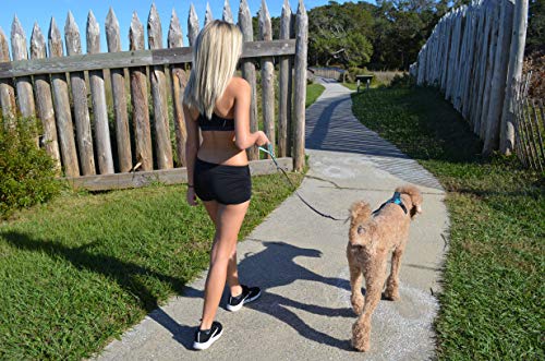 Black Rhino – Dog Leash Adjustable Length (3-5 Feet) With Soft Neoprene Padded Handle | Heavy Duty Lead For Easy Control | Small Medium Large Breeds | Reflective Stitching (Aqua/Grey) #TOP5