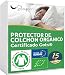 Protectores de almohada 50x75cm en algodón orgánico certificado GOTS, no impermeable, juego de 2, hecho en Europa, forro de algodón transpirable y absorbente, funda de almohada, cierre tipo sobre