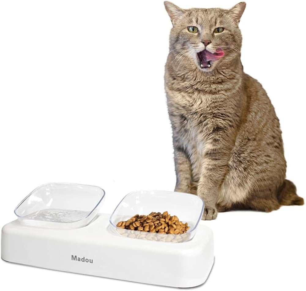 Genius DogProof Cat Feeders To Keep Fido Away