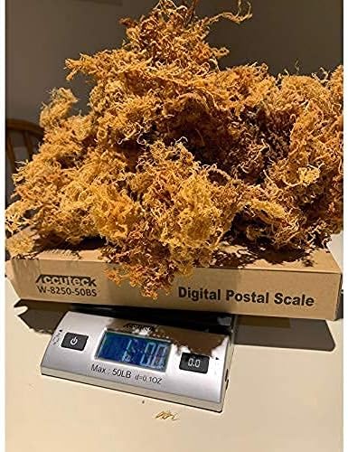 1 3oz Pack Sea Moss Dried/Raw-Turn Irish Moss (Dr. Sebi Recommended) 100% Wildcrafted- from The Caribbean