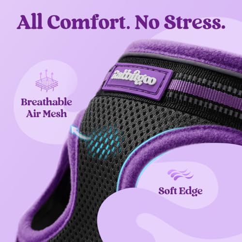 Image of rabbitgoo Cat Harness and Leash Set, Step-in Soft Vest, Black & Purple