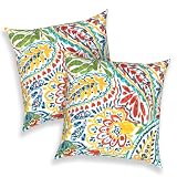 Melody Elephant Outdoor Throw Pillows 16x16 Inch, Water Repellent Patio Pillows with Inners Set of 2 for Patio Furniture Home Garden, Paisley Multi