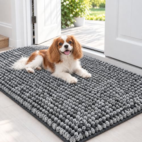 EHEYCIGA Super Absorbent Dog Mat