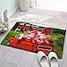 Tapis de bain parfait, Tapis de porte Chaussures Shaggy Tapis Rouge Grange dans une ferme verte naturelle, Tapis de bain doux antidérapant V-intage camion à la . avec ballon de la Saint-Valentin, cous